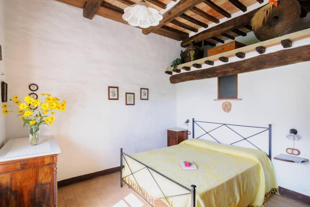 Girasole Cottage Overlooking The Orcia Valley In Tuscany Radicofani Ngoại thất bức ảnh