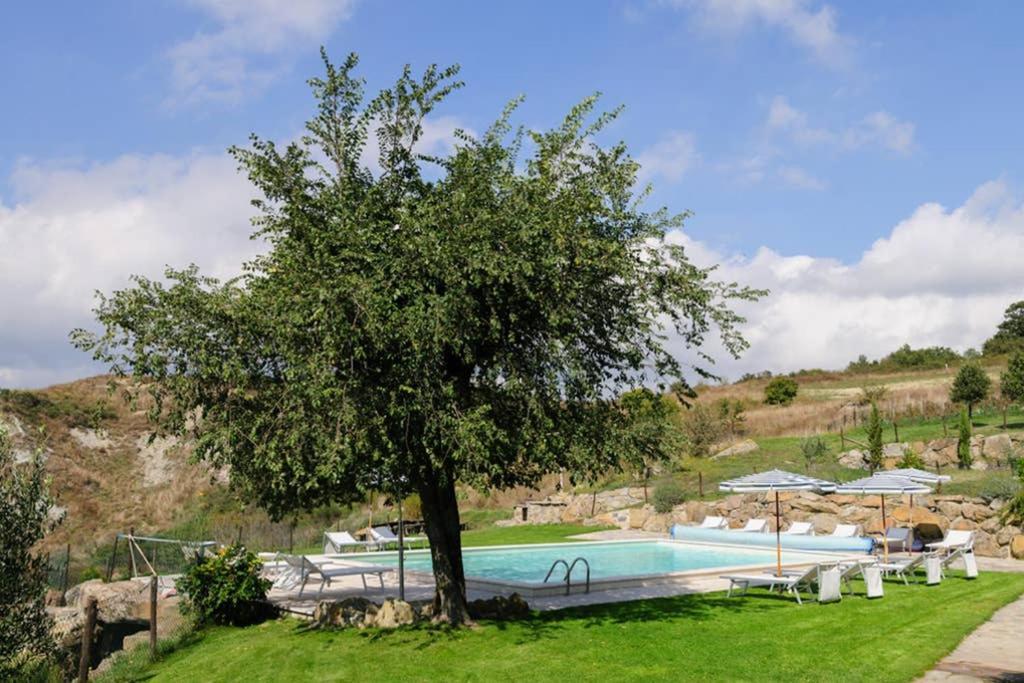 Girasole Cottage Overlooking The Orcia Valley In Tuscany Radicofani Ngoại thất bức ảnh